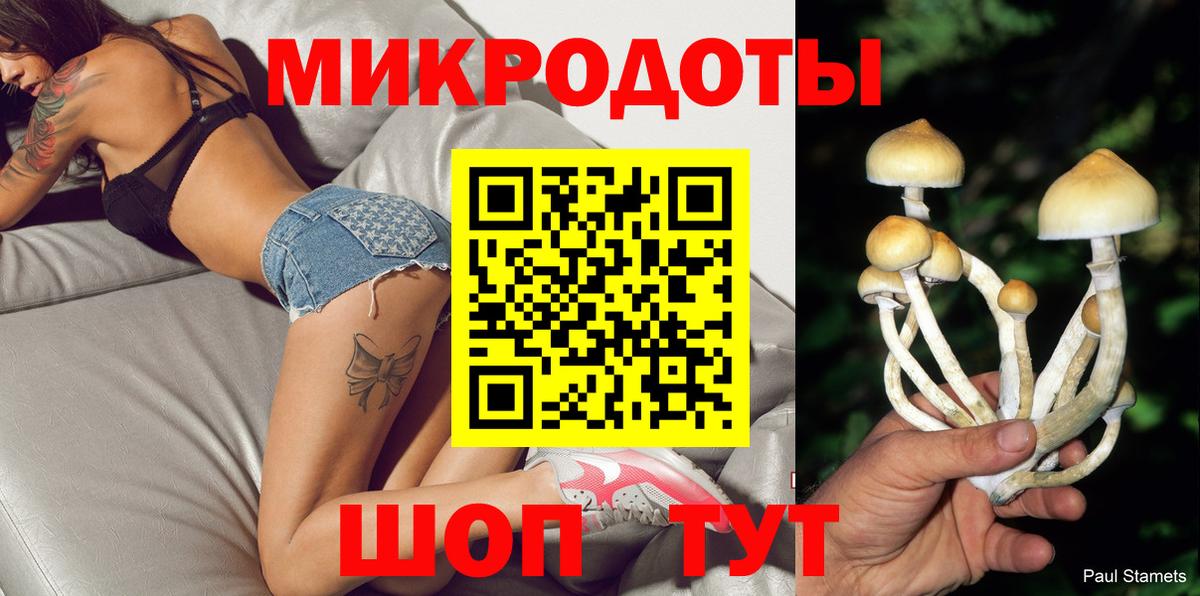 Галлюциногенные грибы Psilocybine cubensis Барнаул